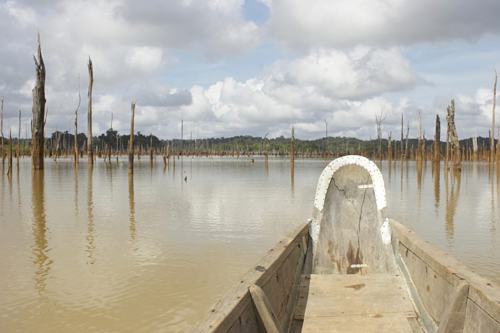Een reis door de natuur van Suriname 