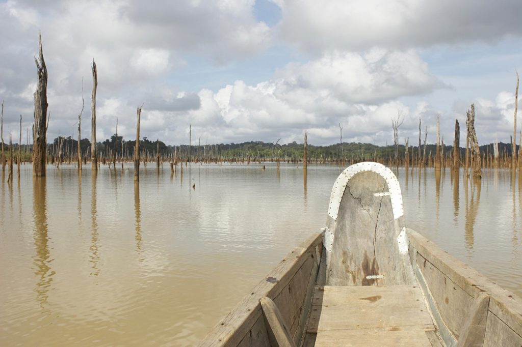 Een reis door de natuur van Suriname 